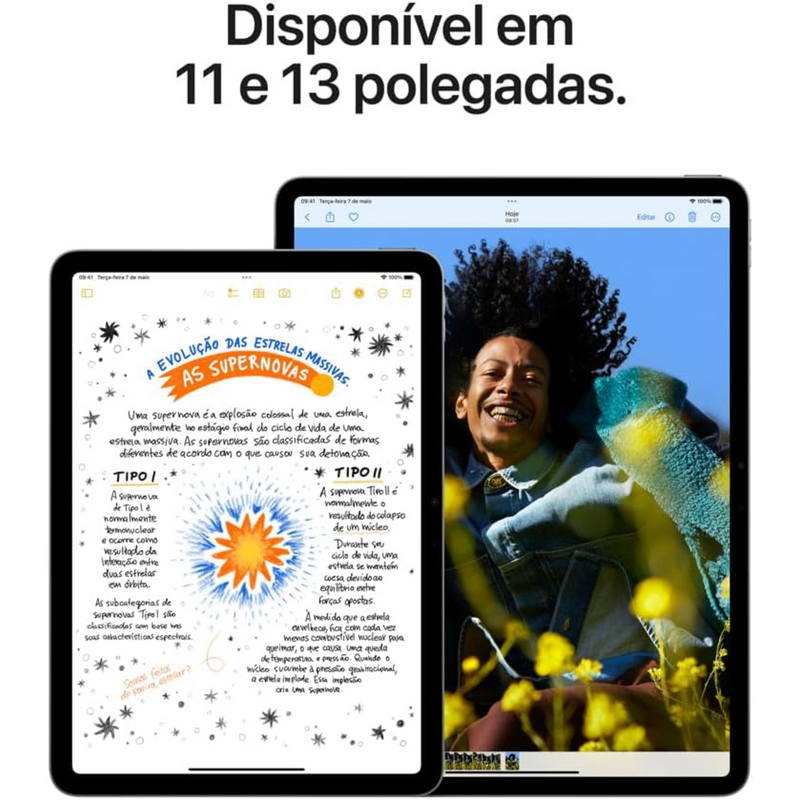 Apple iPad Air 2024 11" Chip M2 256GB